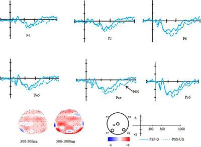 An Event-Related Potentials Study on the Syntactic Transfer Effect of Late Language Learners